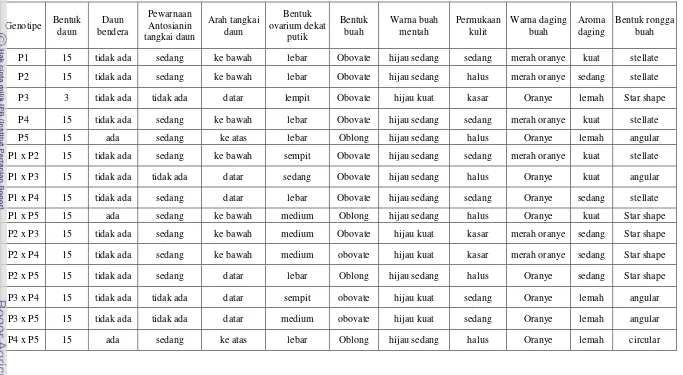 Tabel  2. Karakter kualitatif dari populasi setengah dialel lima tetua pepaya. 