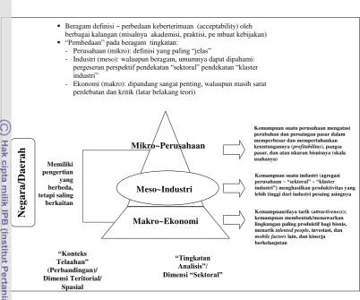 Gambar 8 Simplifikasi pengertian daya saing. 
