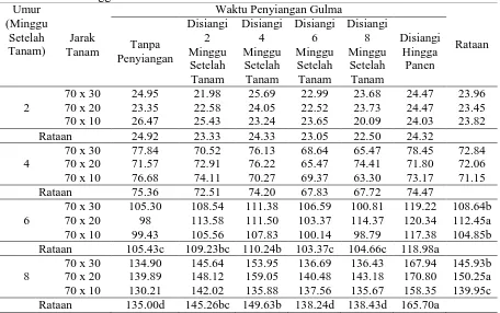 Tabel 1. Rataan tinggi tanaman terhadap jarak tanam dan waktu penyiangan gulma 2-8 minggu setelah tanamUmur 
