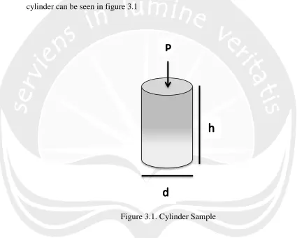Figure 3.1. Cylinder Sample 