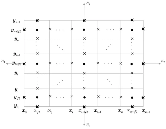 Figure 1: Staggered 2D(non-uniform point distributed) grid.