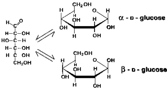 Gambar 2.2. Struktur Glukosa 