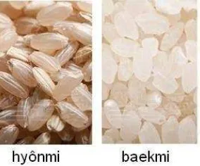 Gambar 3. Perbedaan antara beras hyonmi (http://resep-makanan-korea.blogspot.kr/2013/08/cara-memasak-nasi.dan baekmi html, diakses tanggal 14 Februari) 