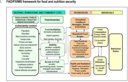 Figure 1. FAO/FIVIMS framework for food and nutrition security 