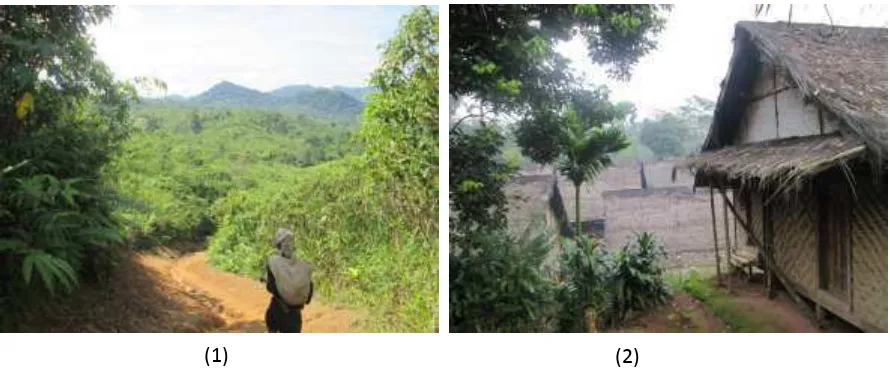 Gambar 3.1  (1) jalan setapak menuju kampung Cibeo, (2) kondisi rumah-