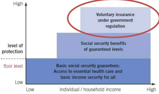 Figure 11. Private sector initiatives and the social security extension staircase 