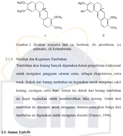 Gambar 2. Struktur senyawa dari (a) berberin, (b) jatorrhizin, (c) 