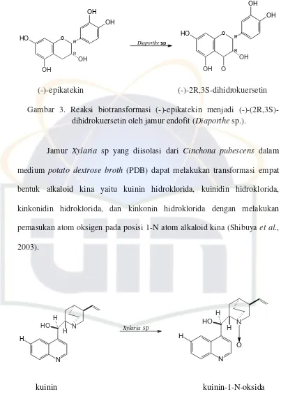 Gambar 3. Reaksi biotransformasi (-)-epikatekin menjadi (-)-(2R,3S)-