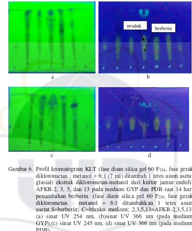 Gambar 6. Profil kromatogram KLT (fase diam silica gel 60 F254, fase gerak 