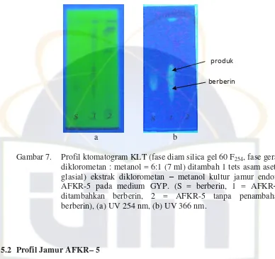Gambar 7. Profil ktomatogram KLT (fase diam silica gel 60 F254, fase gerak 