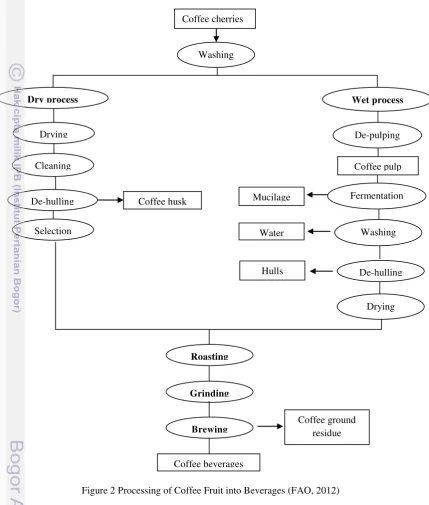 Figure 2 Processing of Coffee Fruit into Beverages (FAO, 2012) 