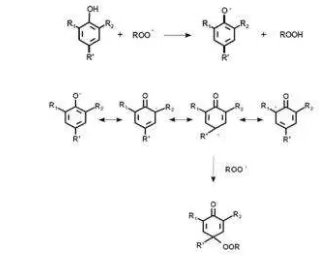 Figure 3 Antioxidant mechanisms of phenols 