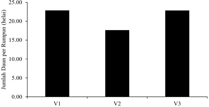 Gambar 4. Diagram hubungan tiga varietas bawang merah dengan jumlah daun  per rumpun 7 MST   