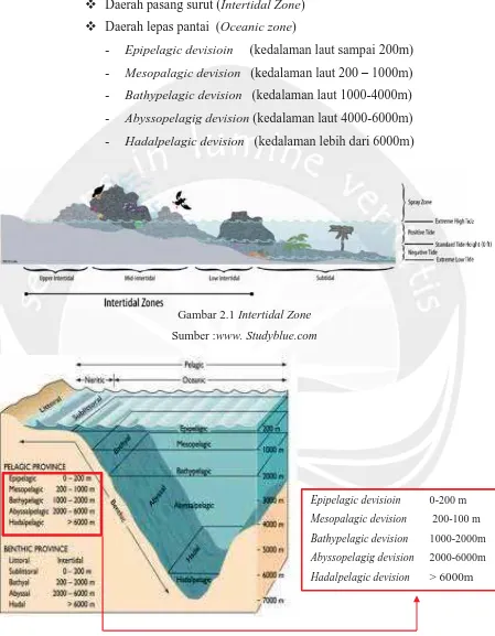 Gambar 2.1 Intertidal Zone 