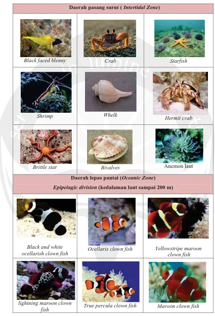 Tabel 2.2 Jenis-Jenis Biota Laut Berdasarkan Lingkungan Hidupnya