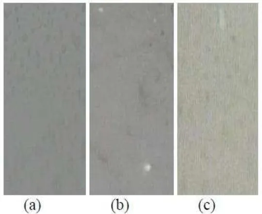 Gambar 8. Pengaruh Penambahan Variasi Kitosan terhadap Struktur Morfologi  Film Plastik Biodegradable