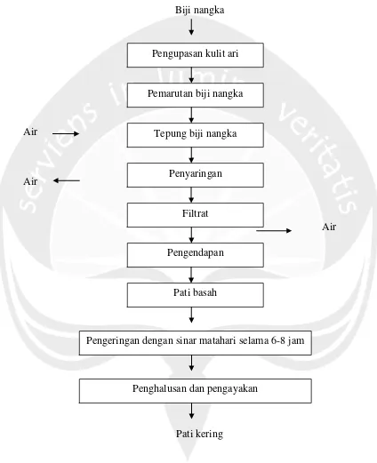 Gambar 16. Proses pembuatan pati biji nangka (Wijaya, 2005) 