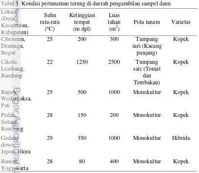 Tabel 3  Kondisi pertanaman terung di daerah pengambilan sampel daun 