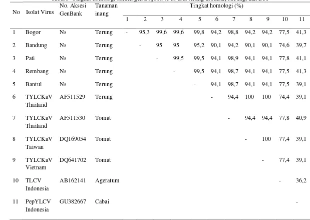 Tabel 5  Tingkat homologi sikuen gen Begomovirus asal terung di JaBar, JaTeng, dan DIY 