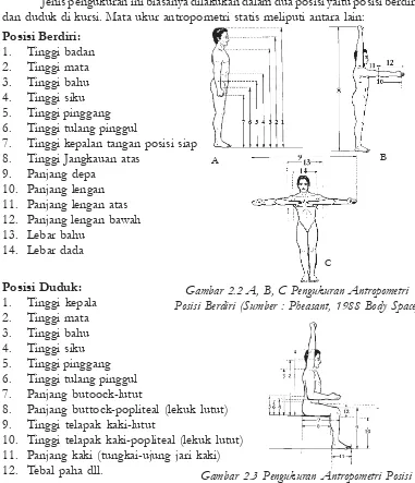 Gambar 2.3 Pengukuran Antropometri PosisiDuduk (Sumber: Pheasant, 1988, Body Space)