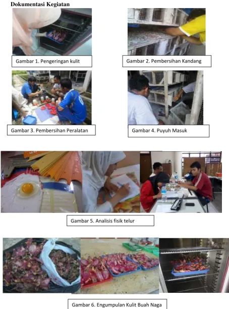 Gambar 2. Pembersihan Kandang 
