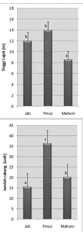 Gambar 1.   Parameter tinggi tajuk (atas) dan jumlah cabang (bawah) Jati, Pinus dan Mahoni
