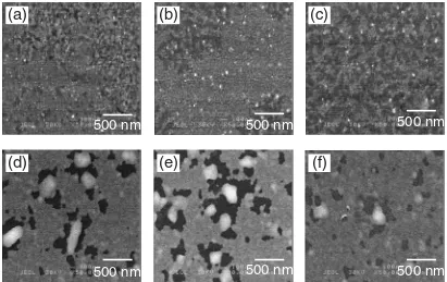Fig. 4.SEM images of Pd/Ti/Si samples (a) without doping and (b) with B-doping at 3 � 1014 and (c) 1 � 1015 cm�2 after RTA at 600 �C for 30 s