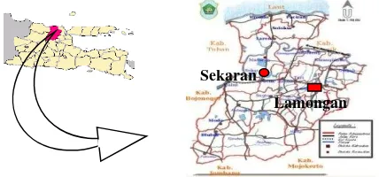 Gambar 8  Peta Kabupaten Lamongan, Jawa Timur 