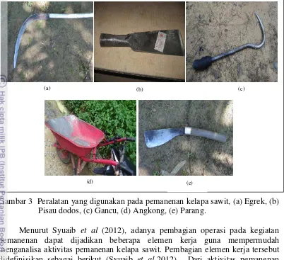 Gambar 3  Peralatan yang digunakan pada pemanenan kelapa sawit, (a) Egrek, (b) 