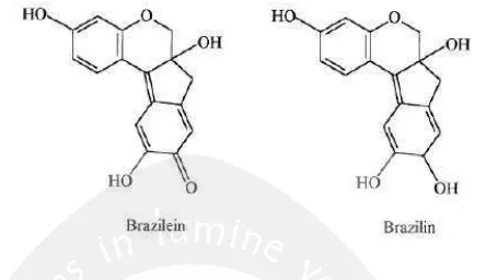 Gambar 2. Struktur molekul brazilein dan brazilin (Indriani, 2003)  