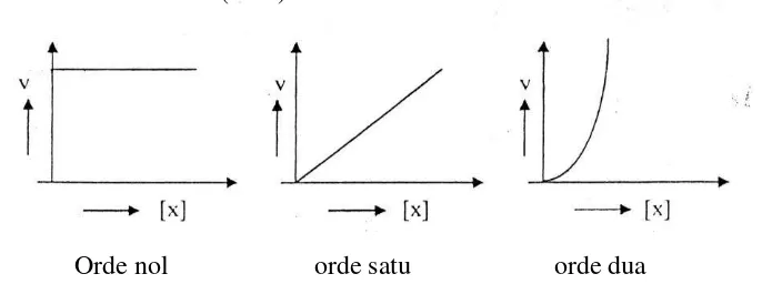 Gambar 1. Grafik Hubungan Konsentrasi Pereaksi [X] dengan Laju Reaksi (v) 