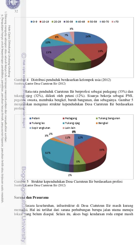Gambar 4   Distribusi penduduk berdasarkan kelompok usia (2012) 