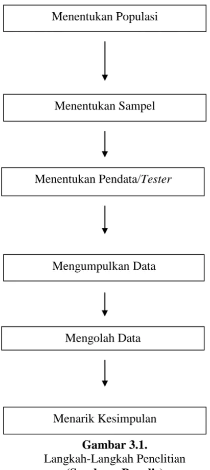 Gambar 3.1. Langkah-Langkah Penelitian 