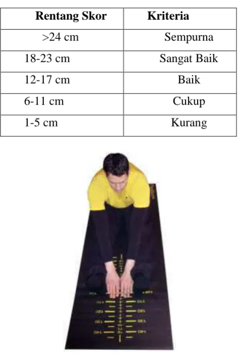 Tabel 3.1 Kriteria Sit and Reach