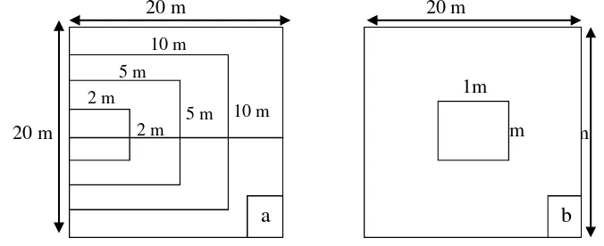 Gambar 4.2 Unit sampling untuk risalah tumbuhan (a) dan cacing tanah (b) 
