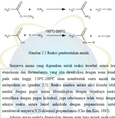 Gambar 2.5 Reaksi pembentukan amida.