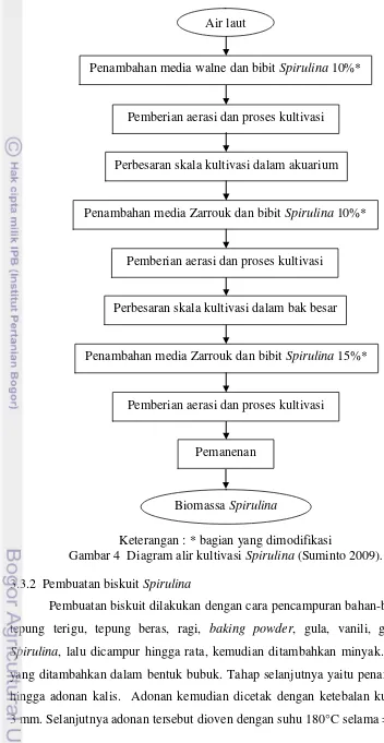Gambar 4  Diagram alir kultivasi Spirulina (Suminto 2009). 