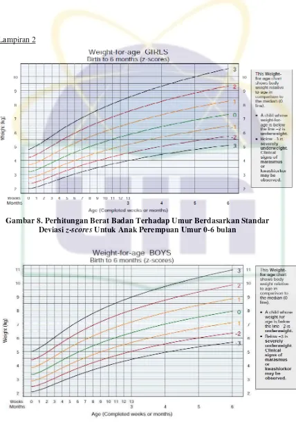 Gambar 8. Perhitungan Berat Badan Terhadap Umur Berdasarkan Standar 