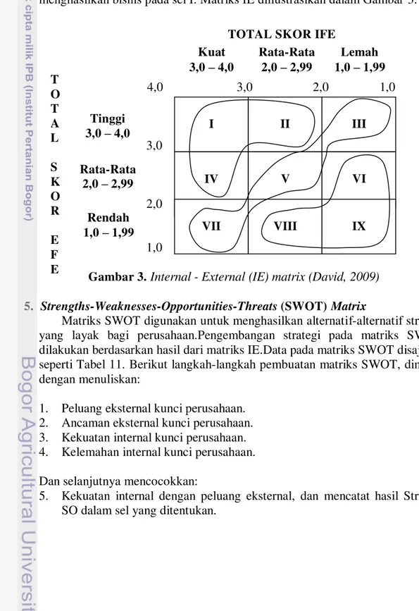 Gambar 3.  Internal - External (IE) matrix (David, 2009) 
