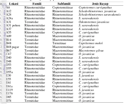 Tabel 4  Keragaman jenis rayap subteran di Perumahan Alam Sinarsari 