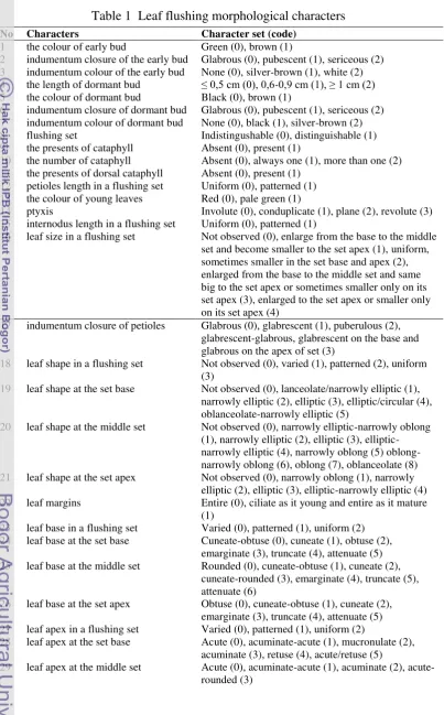 Table 1  Leaf flushing morphological characters 