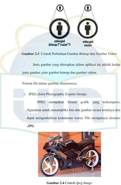 Gambar 2.4 Contoh Jpeg Image