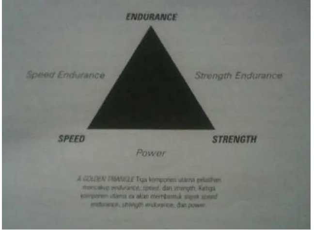 Gambar 11. Tiga komponen latihan a golden triangle. Sumber : (Justinus Lhaksana, 2012: 18) 
