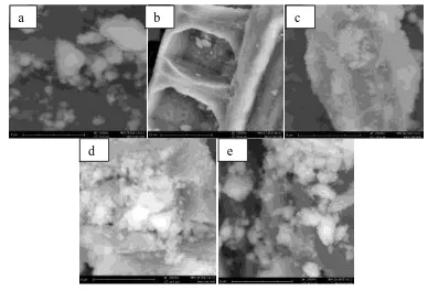 Gambar 3. Foto SEM dari, a. TiO2 (perbesaran 20000x), b. Karbon Aktif (perbesaran 10000x), c