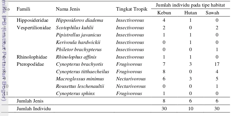 Tabel 1  Jenis-jenis kelelawar yang ditemukan pada tiga tipe habitat 