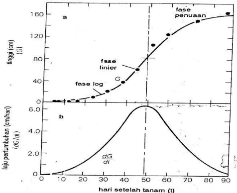 Gambar 2.2. (a) Kurva pertumbuhan tanaman berbentuk-S (Sigmoid) dan (b) kurva 