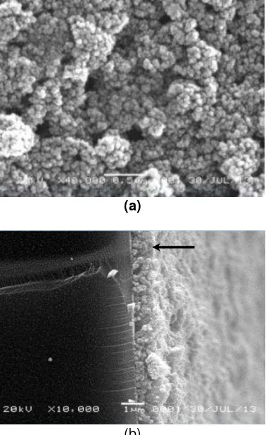 Gambar 6. Citra SEM permukaan (a) dan ketebalan (b) film TiO2 dengan kalsinasi 600oC. 