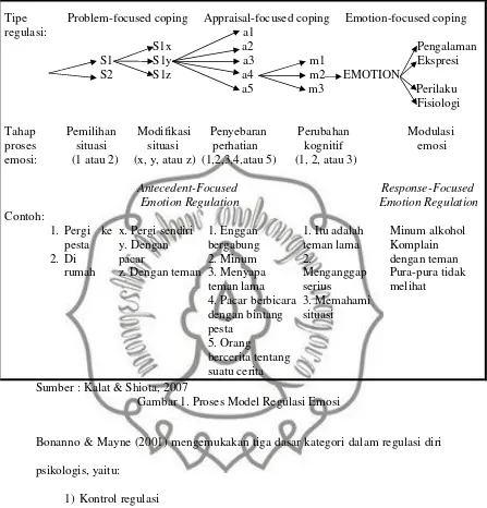 Gambar 1. Proses Model Regulasi Emosi