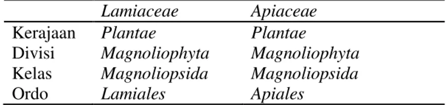 Gambar 11 11 Posisi cabang famili Euphorbiaceae dan famili Crassulaceae.  Gambar  11  menunjukkan  kesamaan  ciri  taksonomi  yang  dimiliki  oleh  famili  Euphorbiaceae  dan  famili  Crassulaceae