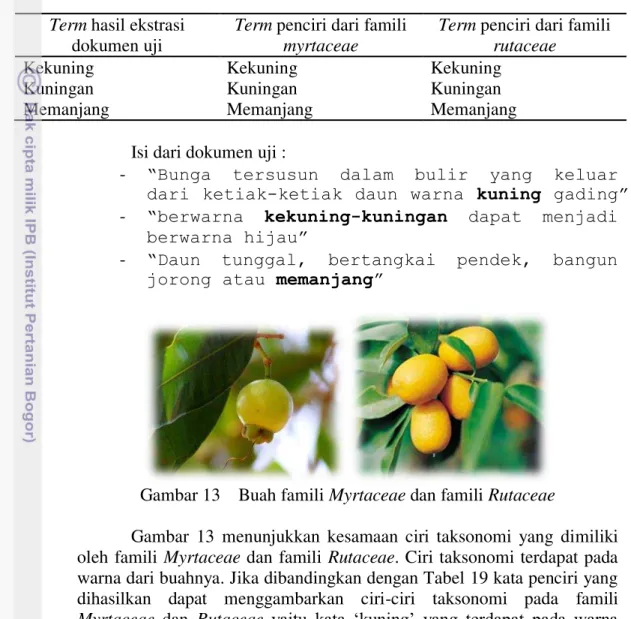 Tabel 19 Perbandingan term dokumen dengan famili Myrtaceae dan Rutaceae  Term hasil ekstrasi 